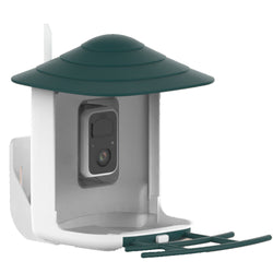 Bird feeder with camera and AI bird recognition for the garden