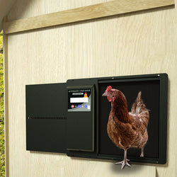 Ouvre-peau de poulet automatique avec peau de poulet - Modèle de luxe - En métal avec batterie, cellules solaires et programmation facile